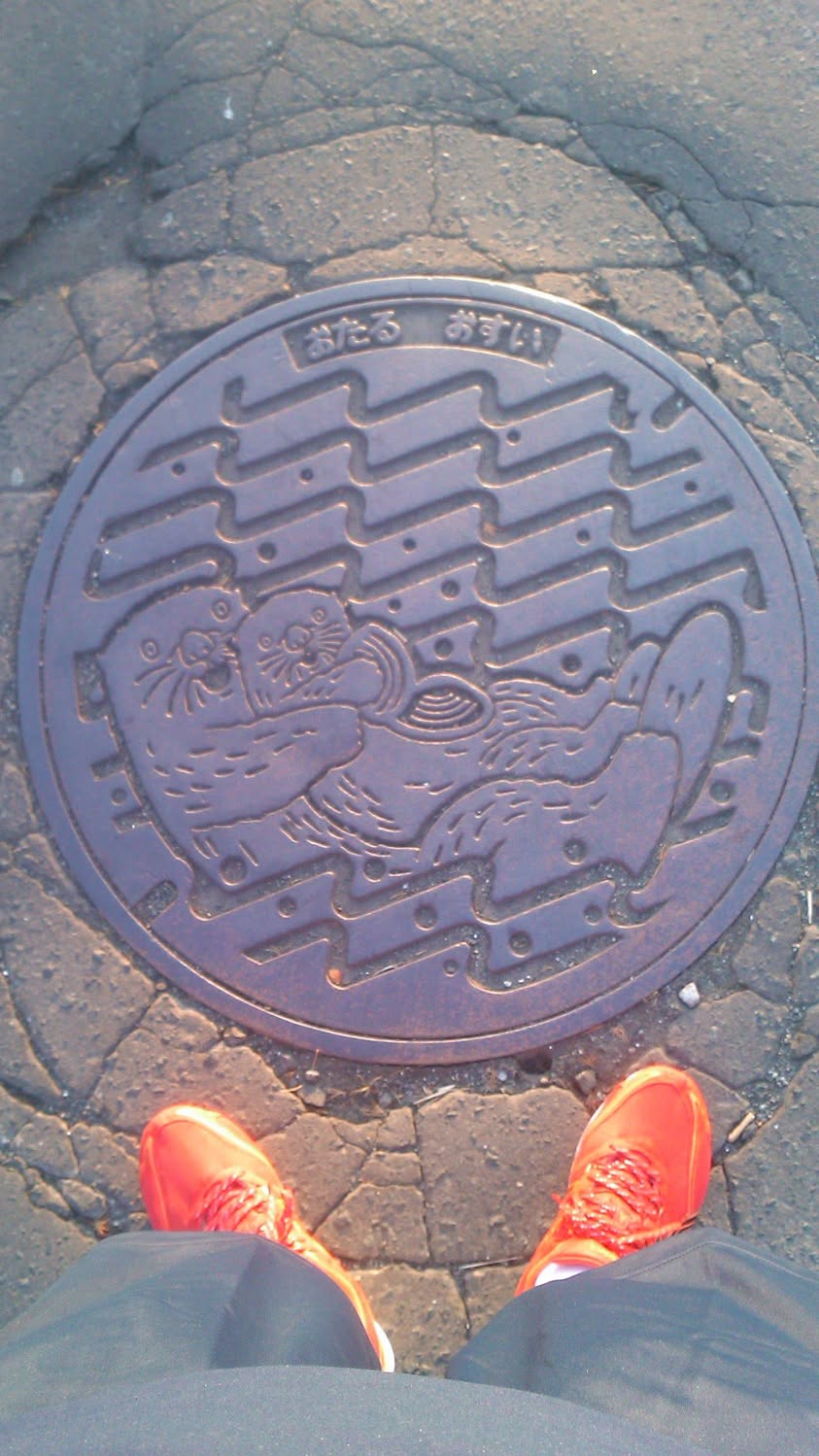 その8 小樽市 ラッコ