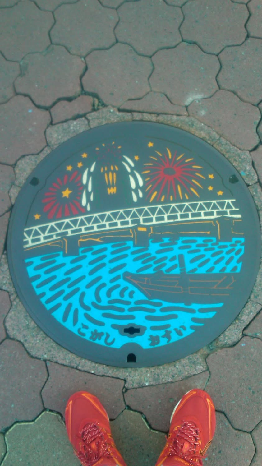 その9 古河市 利根川かな