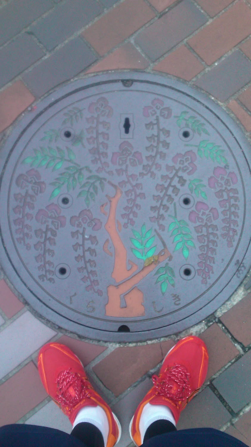 その10 倉敷市 藤