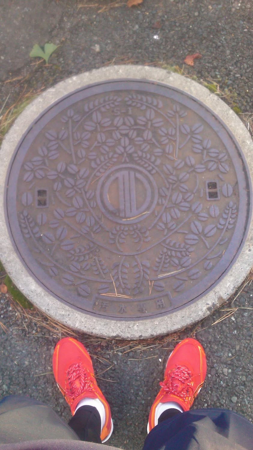 その11 仙台市 仙台市の花 萩。それで「萩の月」！