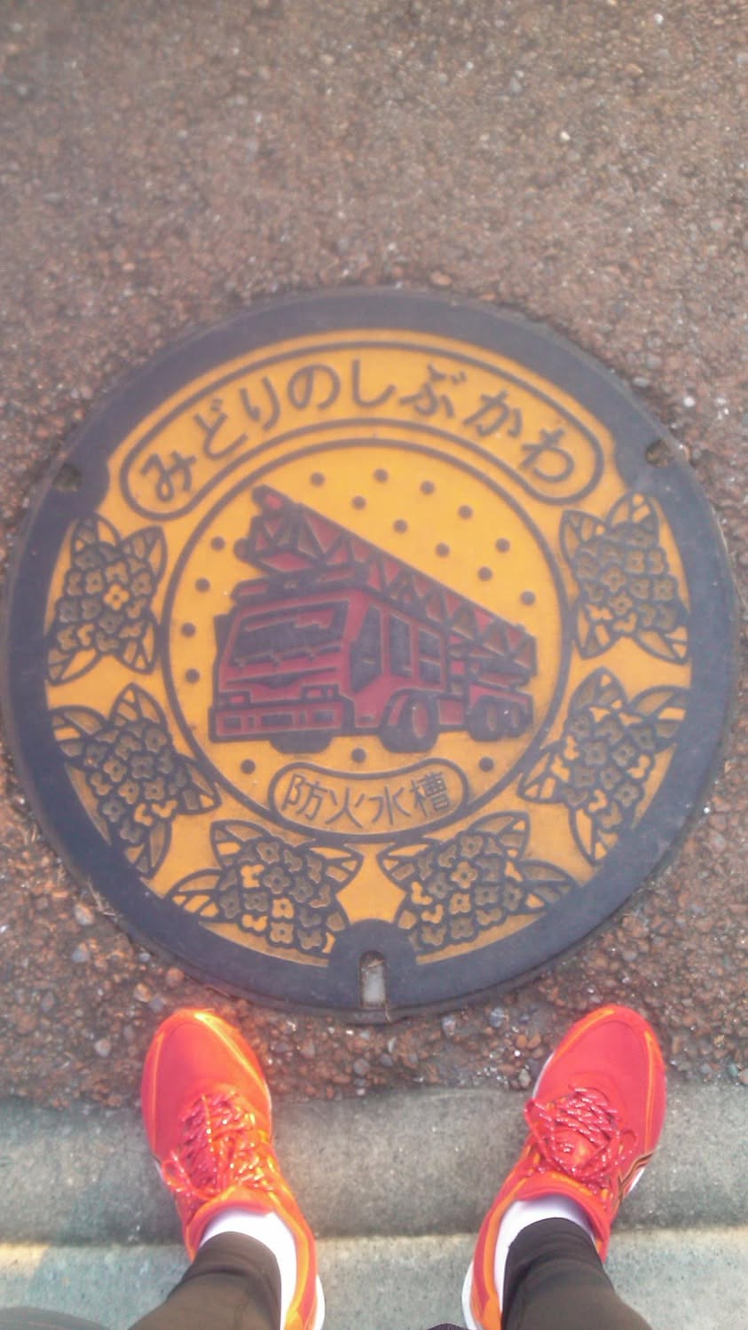 その12 渋川市 紫陽花