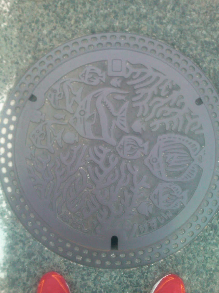 その20 奄美市 熱帯魚