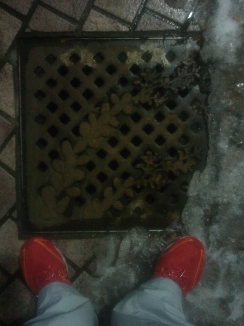 その25 仙台市 萩と雪