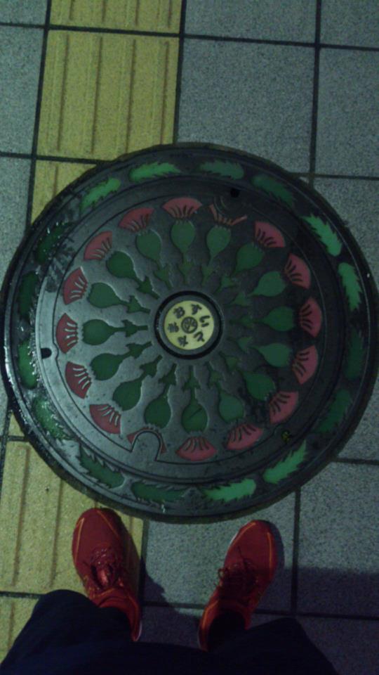 その29 富山市 あざみ(thistles)