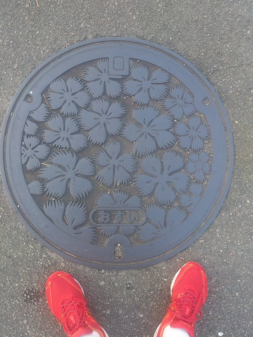 その41 高鍋町 なでしこ(dianthus)