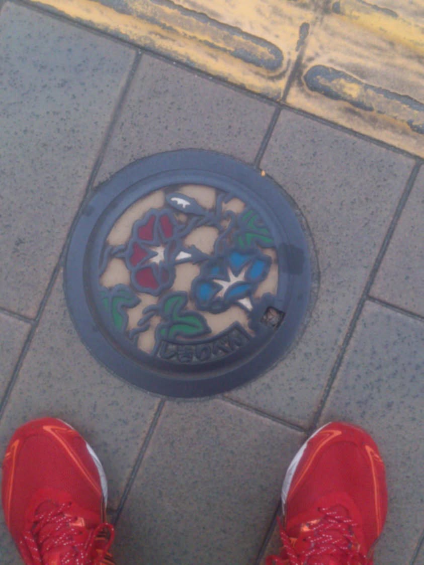 その42 熊本市 肥後朝顔(morning glories)