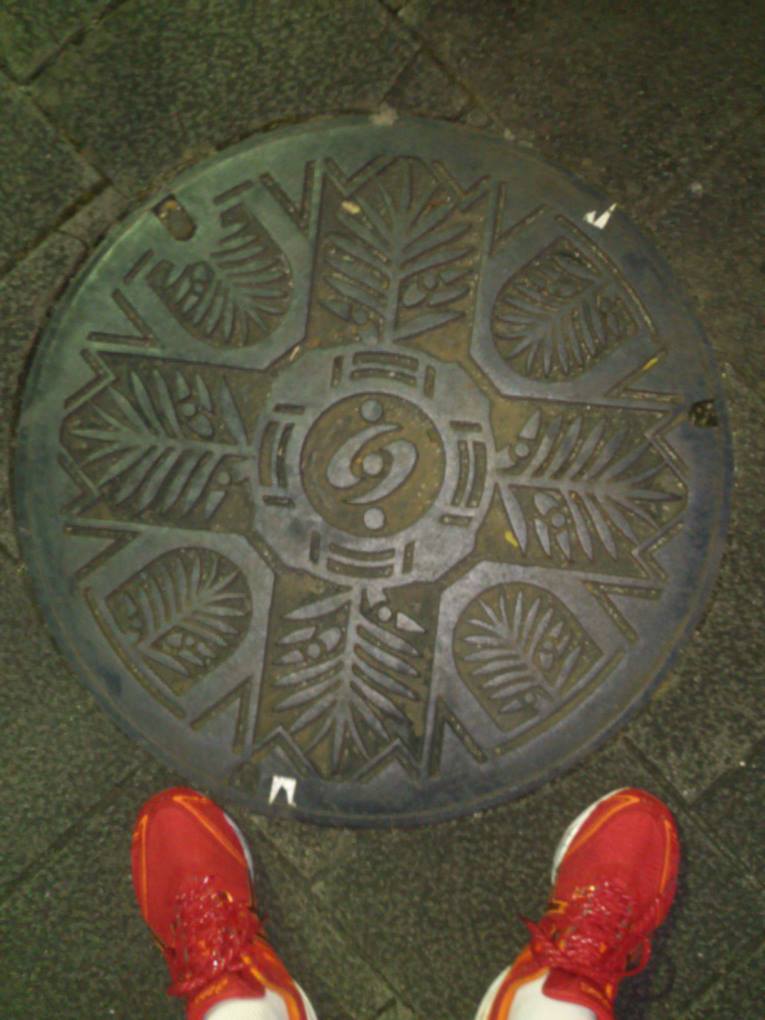 その44 袋井市 槙(Podocarpus)