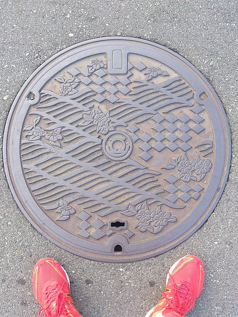 その45 神奈川県逗子市 椿(camellias) と波(waves)