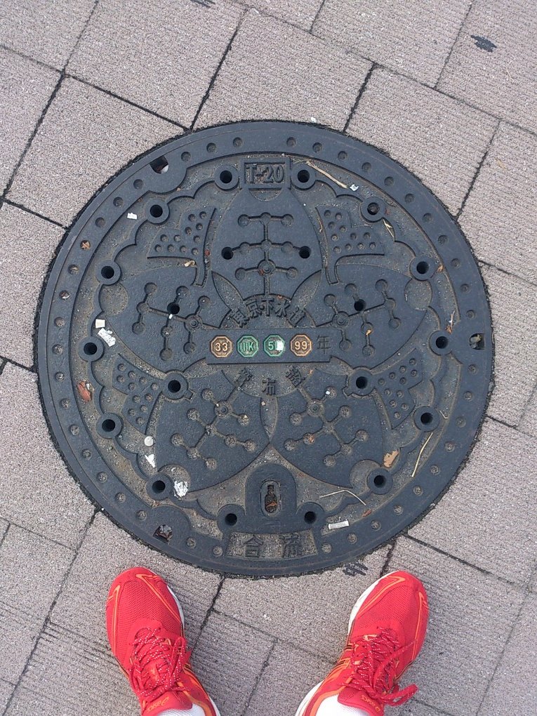 その48 江戸川区葛西 桜の花と銀杏の葉(cherry blossoms and ginkgo leaf