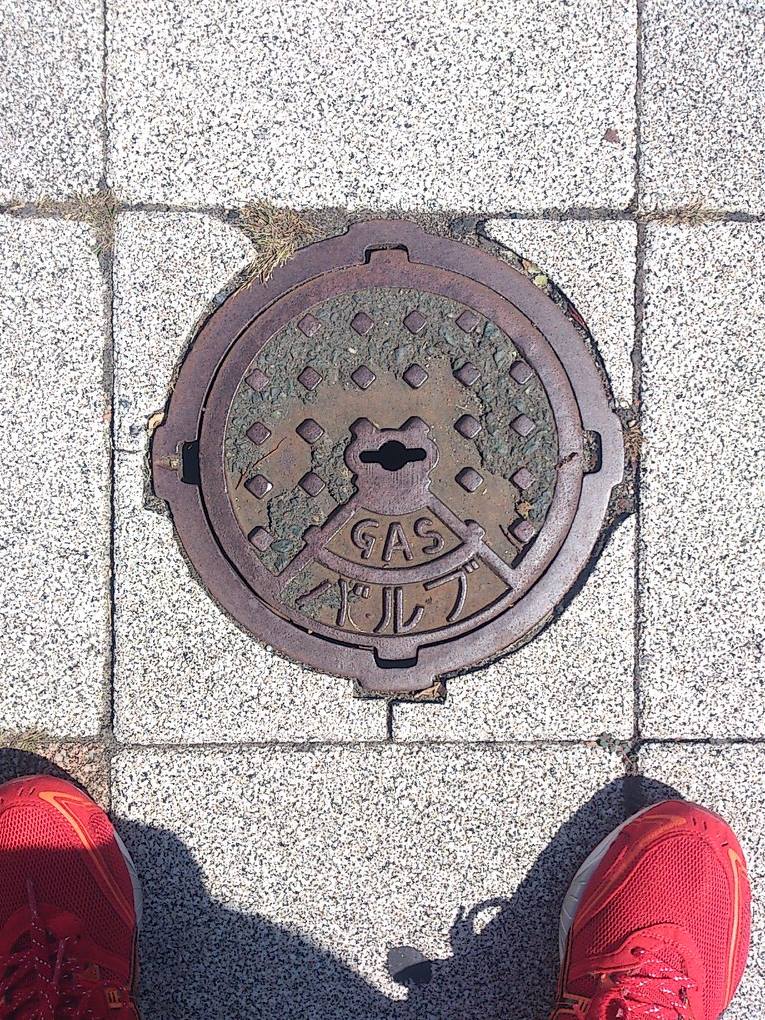 その49 浜松市 カエル(frog)？