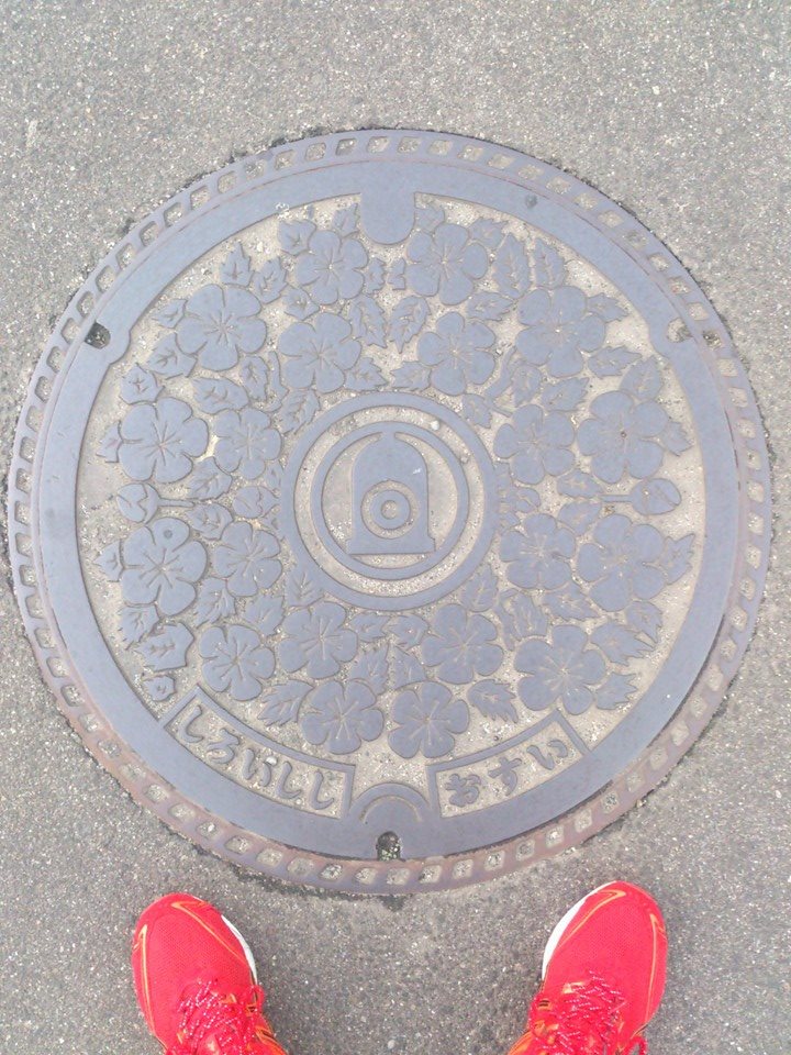 その51 白石市 やまぶき(Japanese roses)と釣り鐘(a hanging bell)