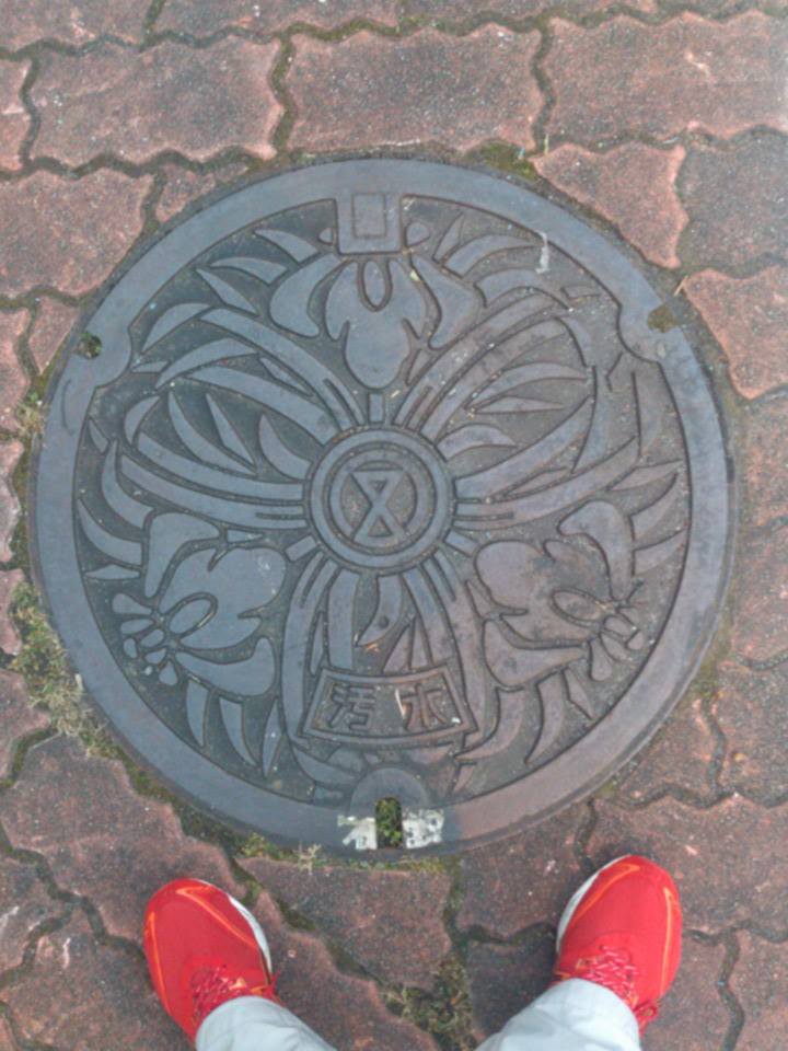 その56 宮崎市 花しょうぶ(irises).