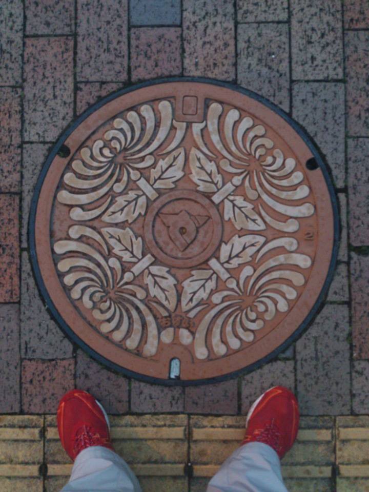 その60 善通寺市 菊(mums)