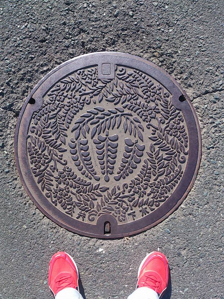 その62 磐田市 熊野の長藤(Yuya wisterias)