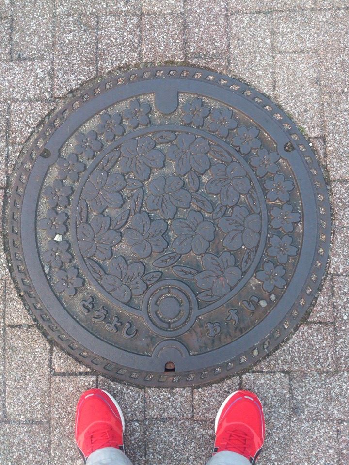 その63 西条市（旧東予市） つつじ(azaleas)と桜(cherry blossoms)