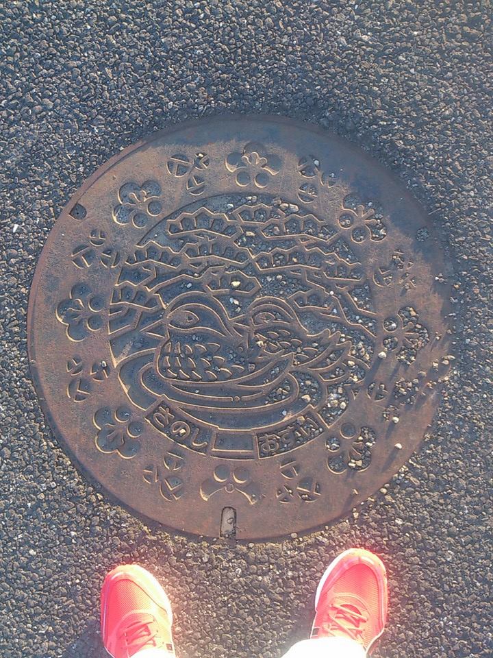 その65 佐野市 オシドリ(mandarin ducks)と松(pines)