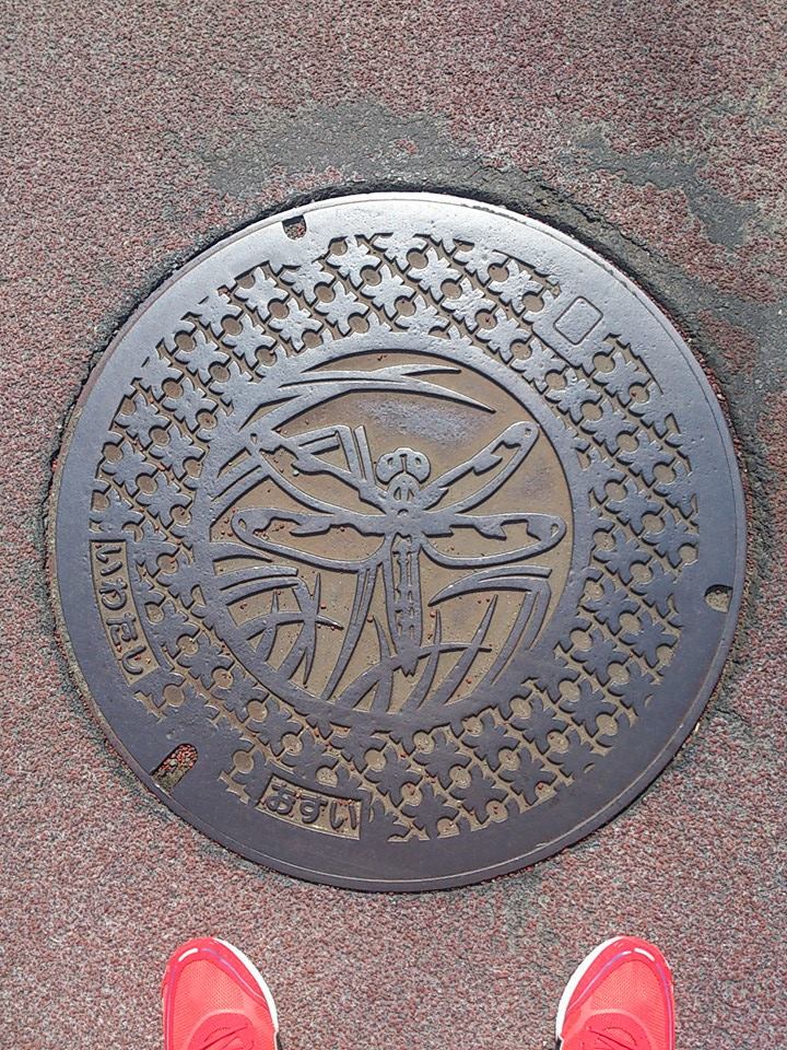 その66 磐田市 ベッコウトンボ(A dragonfly)。ドラゴンフライ!?