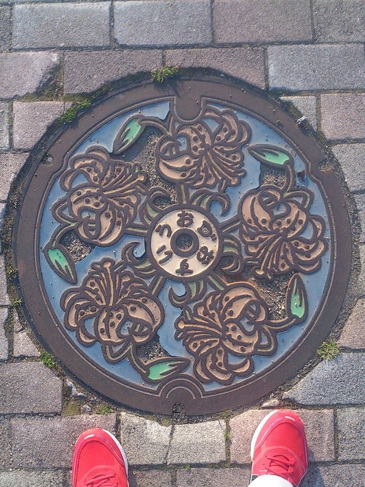 その68 魚津市 かのこゆり(Showy lilies)