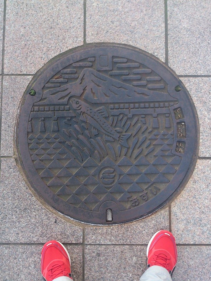 その69 越前市 鮎(a sweetfish)と越前富士(Mt. Echizen Fuji)