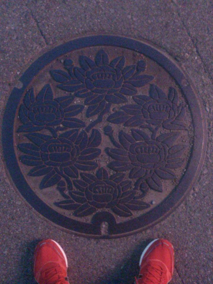 その76 大分市 さざんか(camellias)