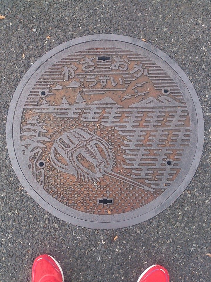 その81 笠岡市 カブトガニ(a horseshoe club)