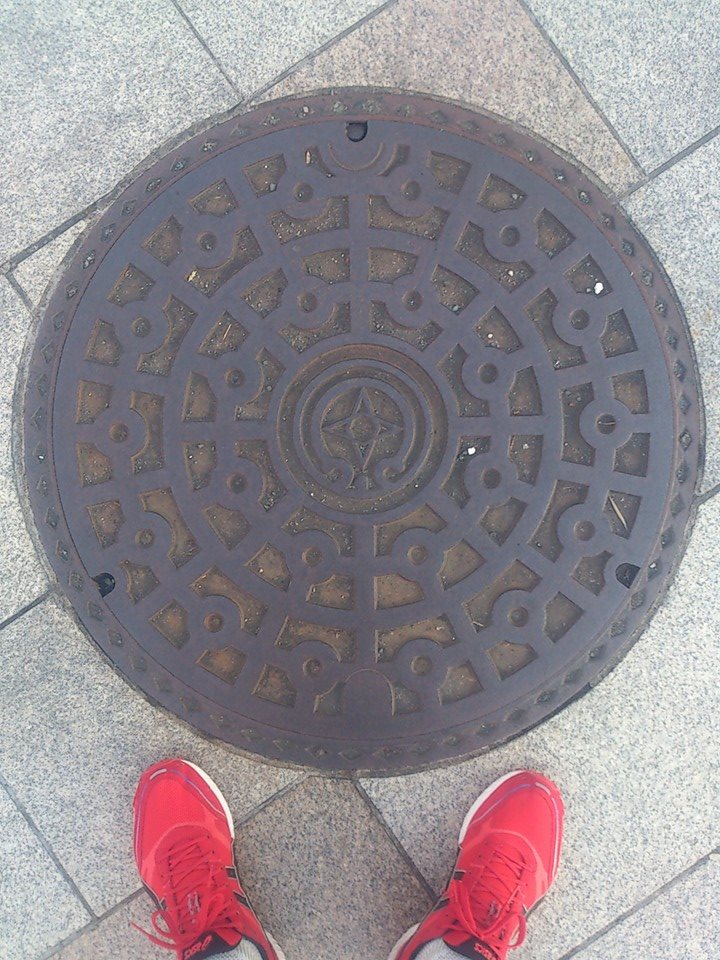 その87 盛岡市 市章(Morioka city emblem)。南部藩ゆかりの図案らしい