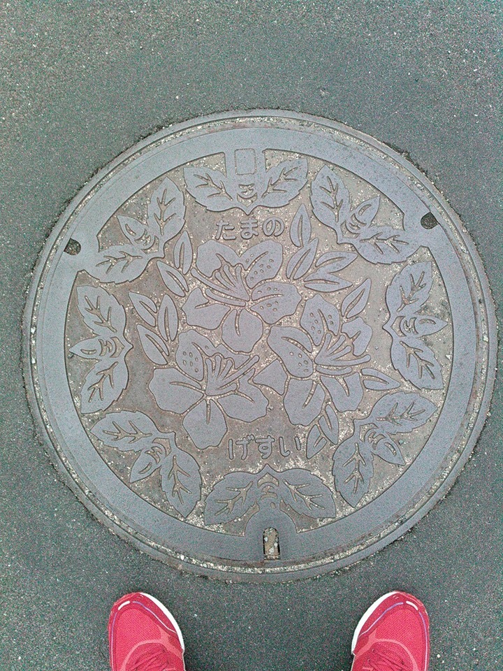 その93 玉野市 ツツジ(Azaleas)とバメ(ウバメガシ)(Ubame oaks)