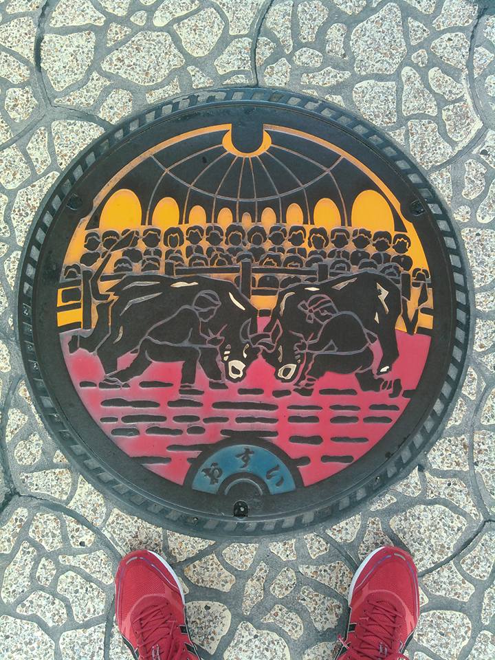 その98 宇和島市 闘牛(a bullfight)