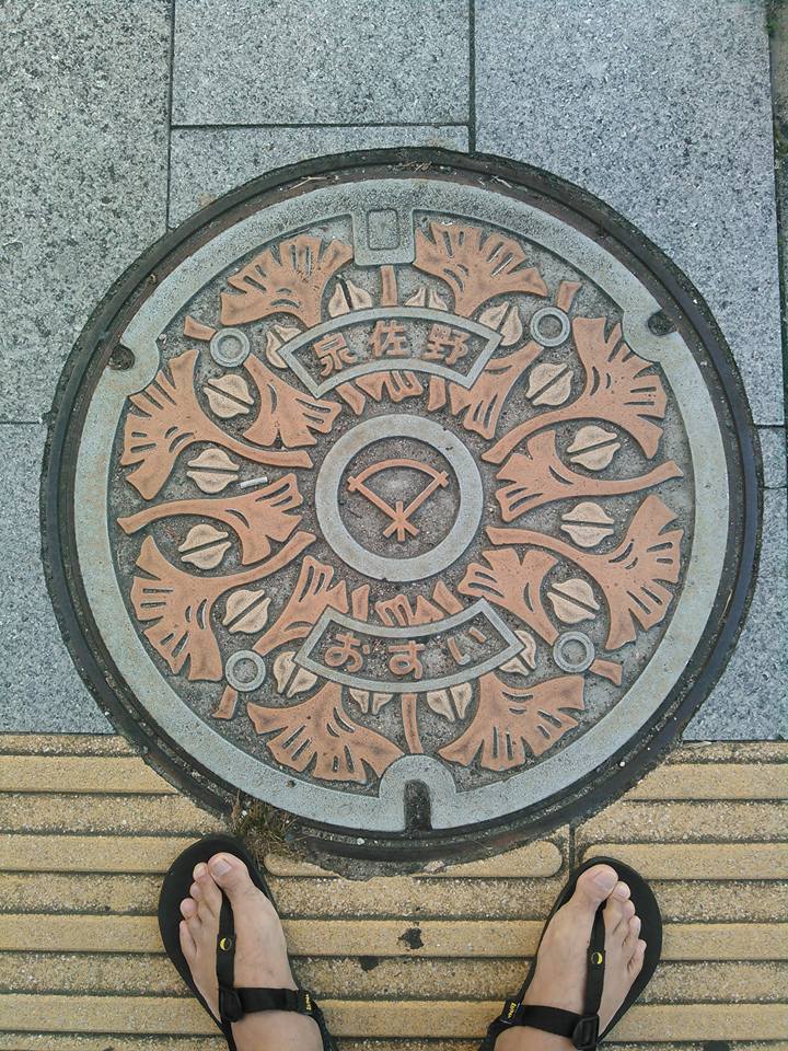 No.105 泉佐野市 イチョウ葉とぎんなん(Leafs and nuts of ginkgo)