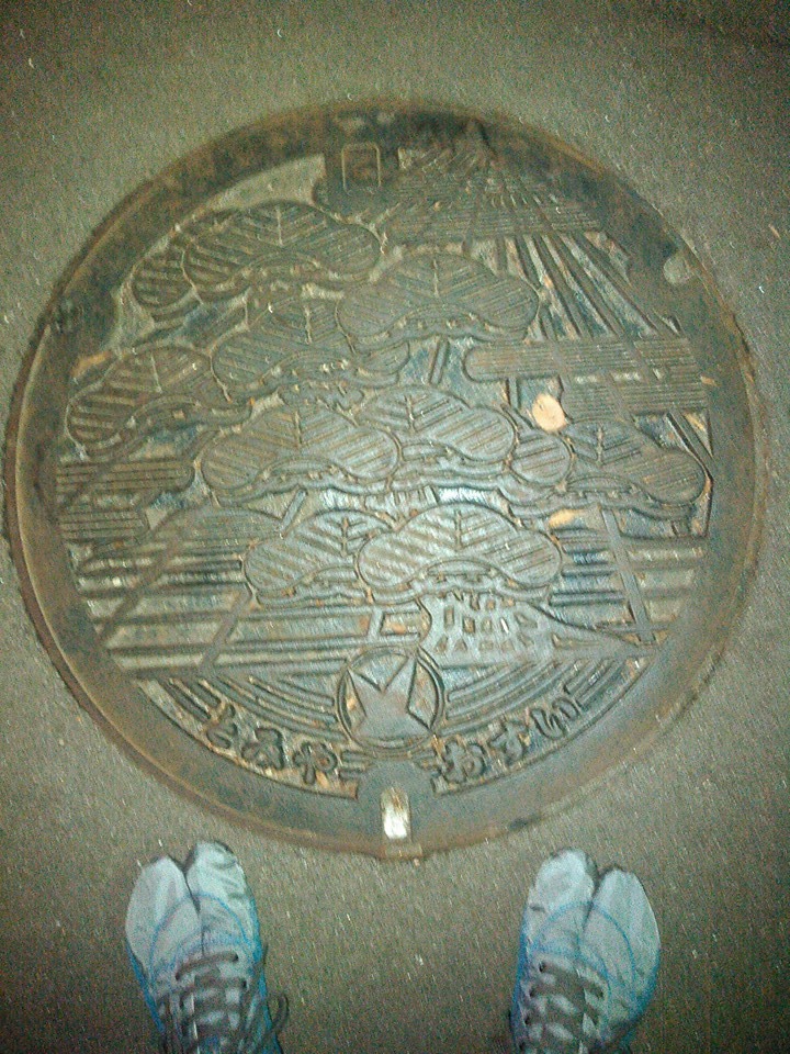 No.109 富谷町 松(a pine tree)