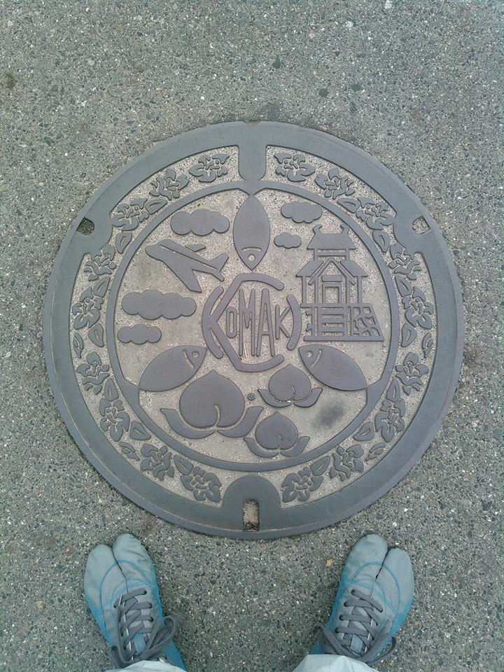 No.112 小牧城、飛行機、桃、魚、ツツジ(Komaki castle, an airpla