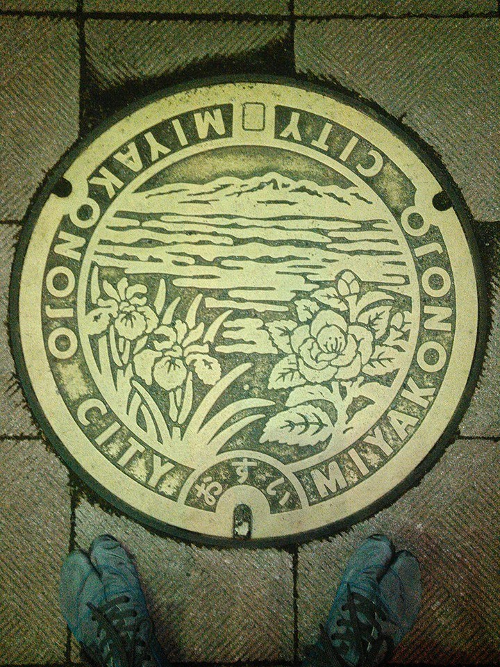 No.115 霧島連峰、アヤメ、そして椿(the Kirishima mountain ran