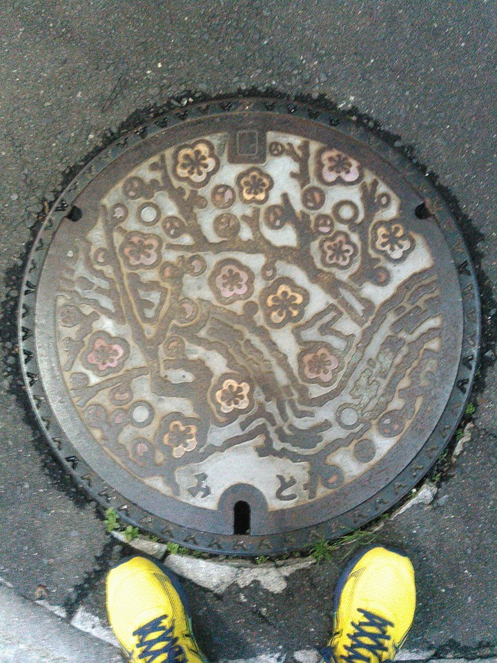 No.126 やっぱり、梅(Ume blossoms)