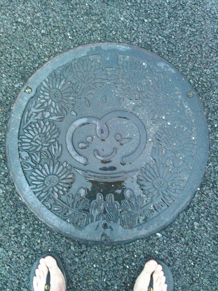 No.127 マッピー？と松葉菊(Mappy and fig marigolds)。前回見つか