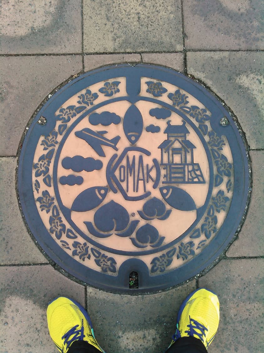 No.141 小牧城、飛行機、魚、桃、そしてツツジ(Komaki castle, an air