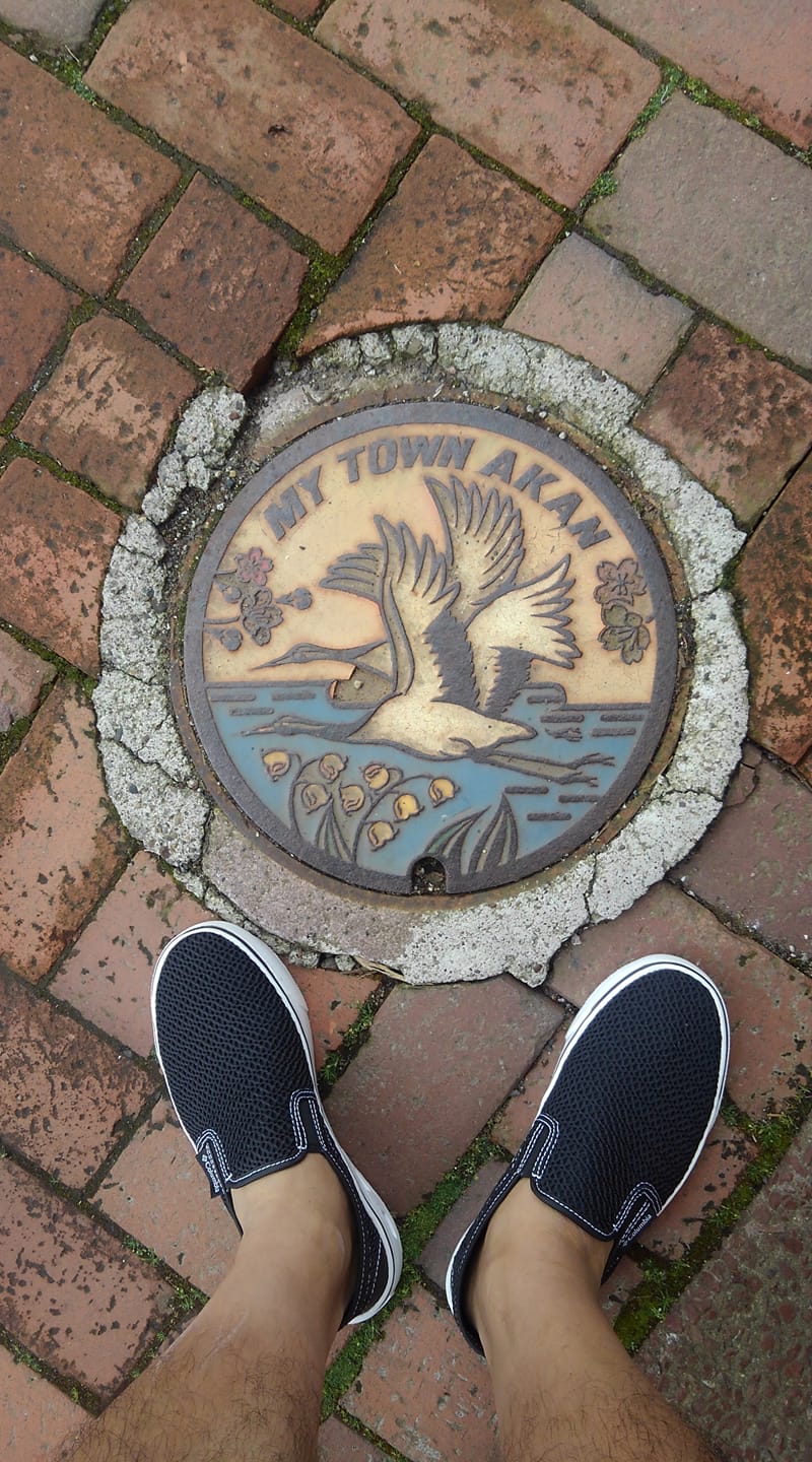 No.155 タンチョウヅル、エゾヤマザクラ、スズラン、阿寒湖(Japanese cranes