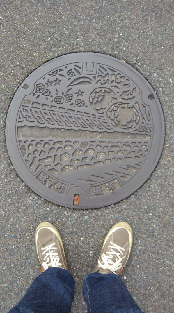 No.158 すっかり旅先 「白壁と夏みかん」(A white wall and summer orange