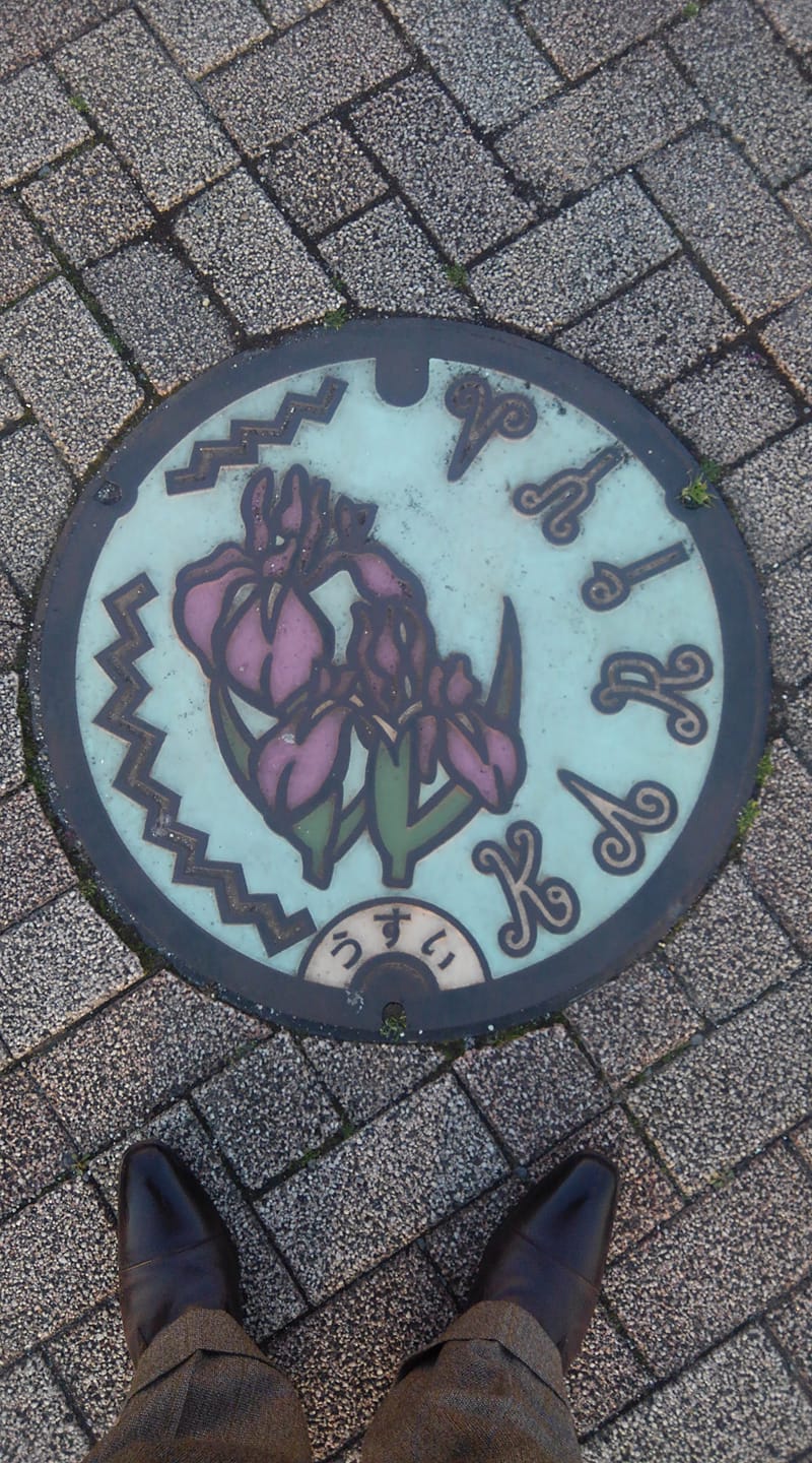 No.163 カキツバタ(Iris laevigata)