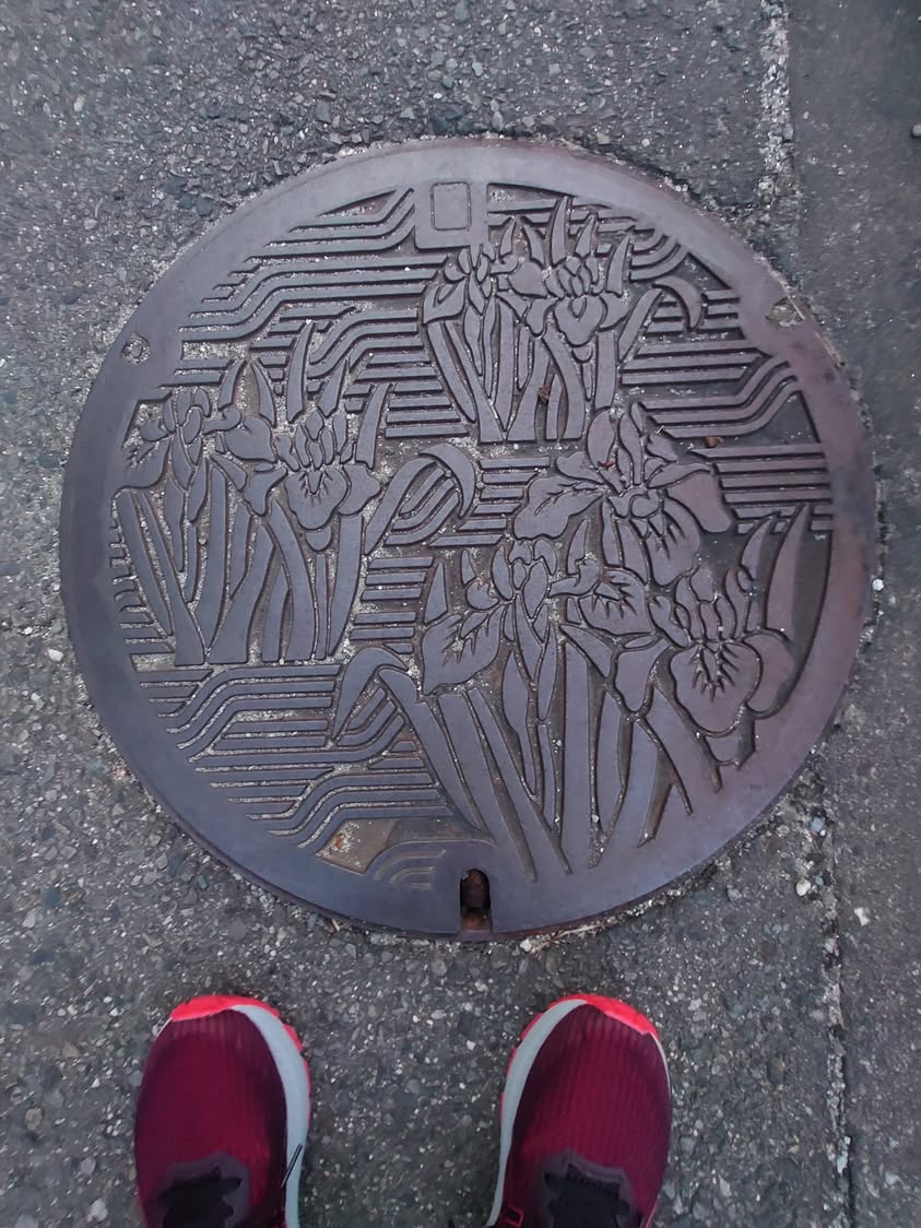 No.167 知立市 カキツバタ(Water Iris)